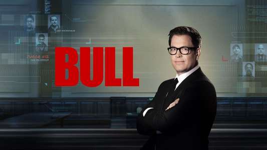 Bull - Backdrops