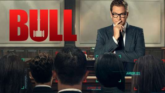 Bull - Backdrops