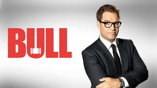 Bull - Backdrops