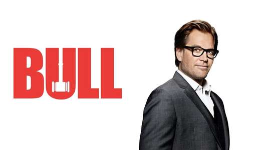 Bull - Backdrops