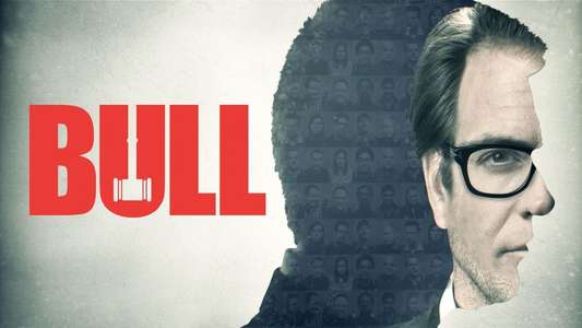 Bull - Backdrops