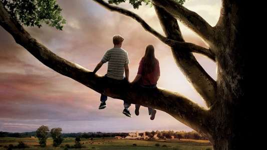 Flipped - Backdrop
