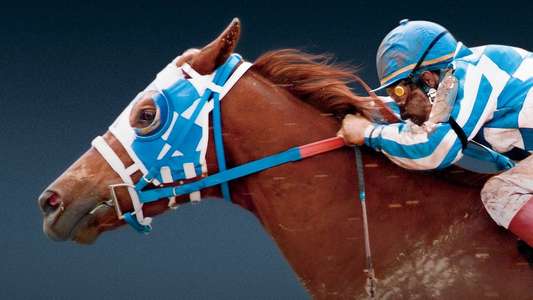 Secretariat - Backdrops