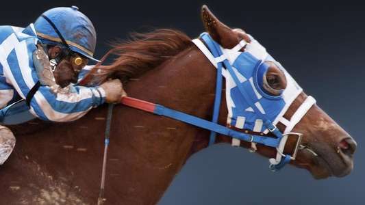 Secretariat - Backdrops