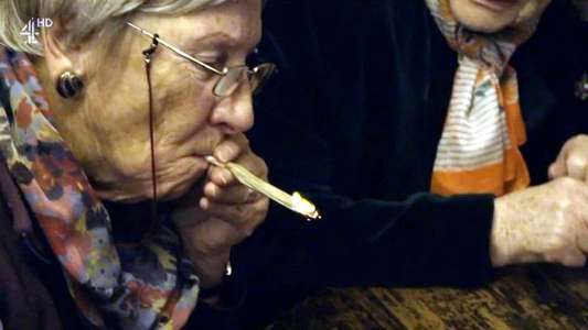 A Granny's Guide to the Modern World - Backdrop