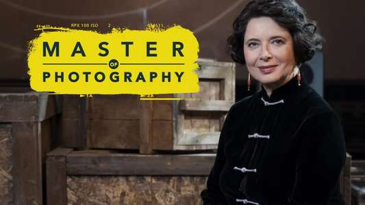 Master of Photography - Backdrop