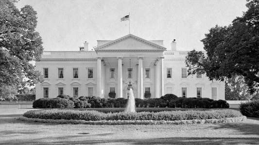 Race for the White House - Backdrop