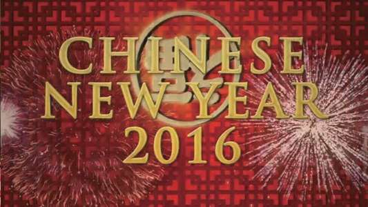 Chinese New Year: The Biggest Celebration on Earth - Backdrop