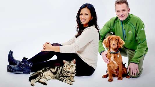 Cats v Dogs: Which is Best? - Backdrop