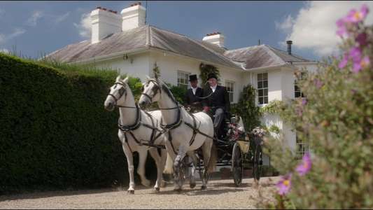 Rosamunde Pilcher: Fighting for Her Family - Backdrop