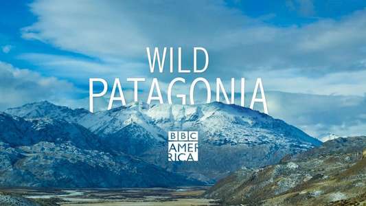 Patagonia: Earth's Secret Paradise - Backdrops