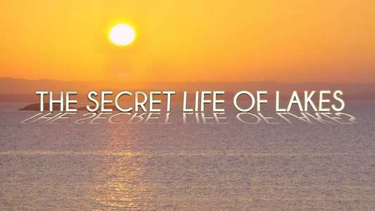 Secret Life of Lakes - Backdrop