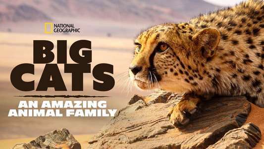 Big Cats: An Amazing Animal Family - Backdrop