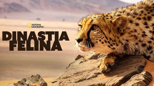 Big Cats: An Amazing Animal Family - Backdrop