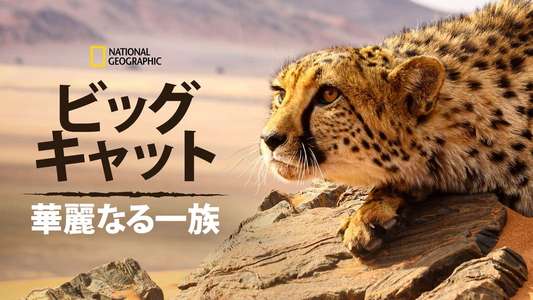 Big Cats: An Amazing Animal Family - Backdrop
