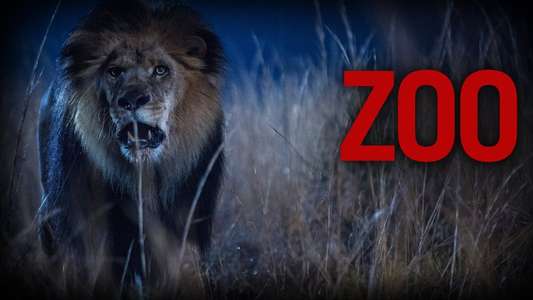Zoo - Backdrop