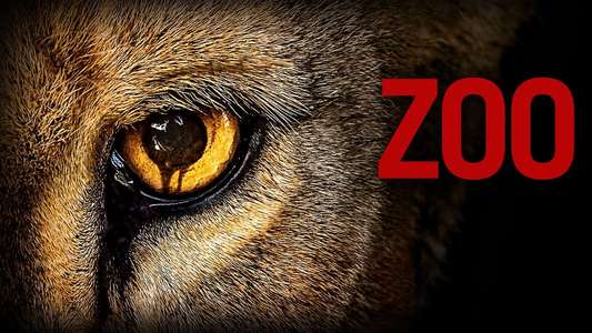 Zoo - Backdrop