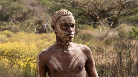 First Peoples - Backdrops