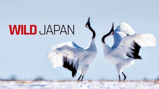 Japan: Earth's Enchanted Islands - Backdrops