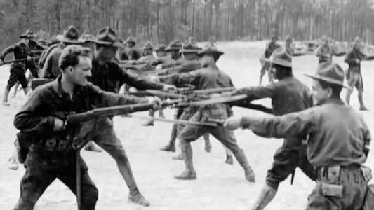 Tony Robinson's World War 1 - Backdrop