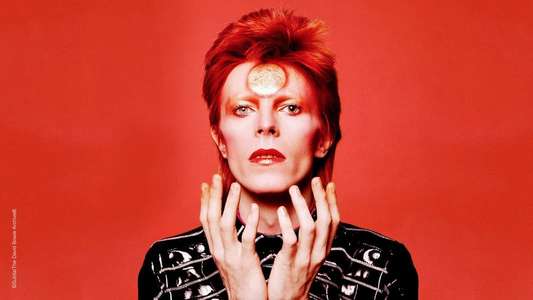 Ziggy Stardust and the Spiders from Mars - Backdrop