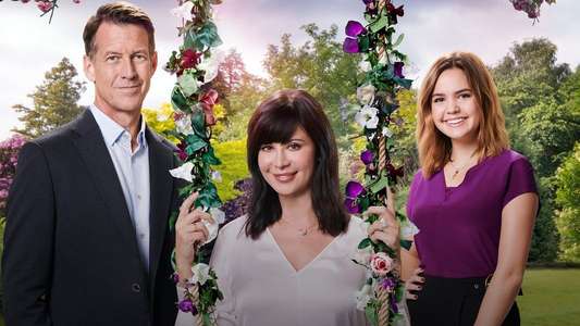 Good Witch - Backdrops
