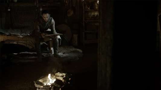 Vikings: Athelstan's Journal - Backdrops
