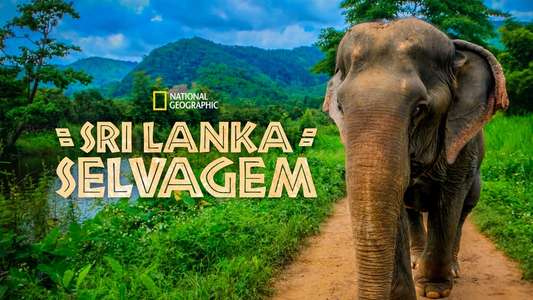Wild Sri Lanka - Backdrop