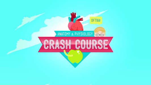 Crash Course Anatomy & Physiology - Backdrop