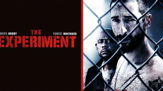 The Experiment - Backdrop