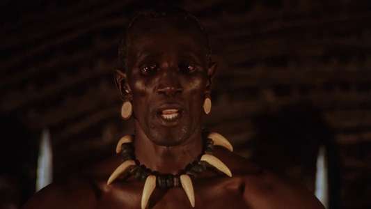 Shaka Zulu - Backdrop