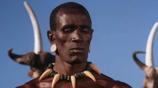Shaka Zulu - Backdrop
