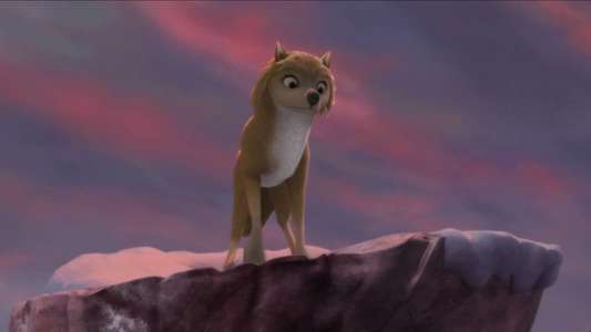 Alpha and Omega - Backdrop