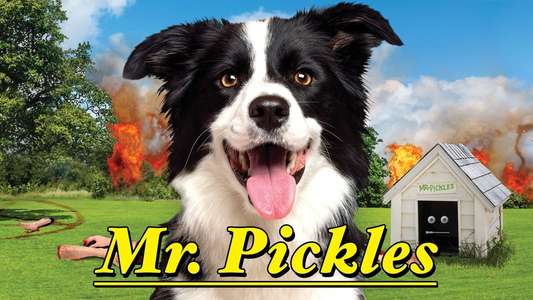 Mr. Pickles - Backdrops