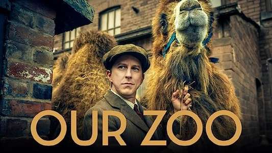 Our Zoo - Backdrops