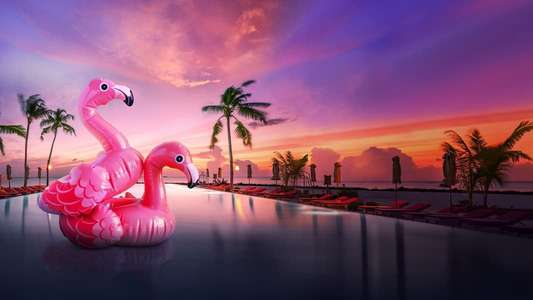 Bachelor in Paradise - Backdrops