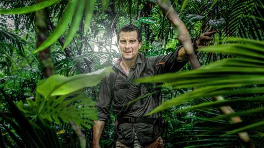 Running Wild with Bear Grylls - Backdrops