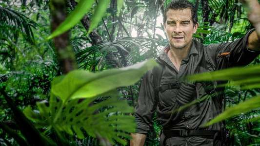 Running Wild with Bear Grylls - Backdrops