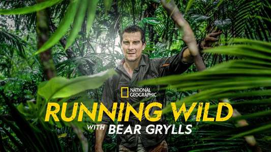 Running Wild with Bear Grylls - Backdrops