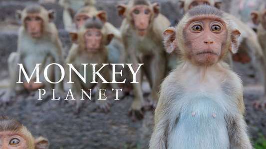 Monkey Planet - Backdrop