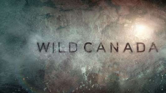 Wild Canada - Backdrop