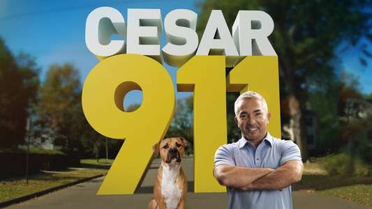 Cesar 911 - Backdrop