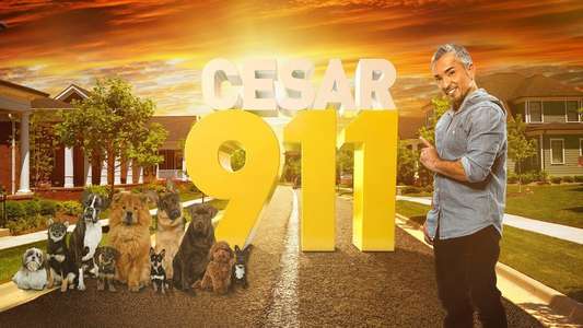 Cesar 911 - Backdrop