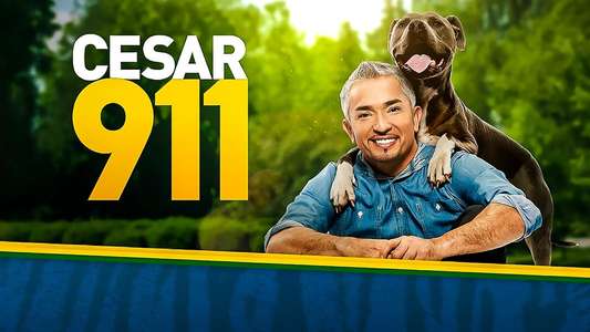 Cesar 911 - Backdrop