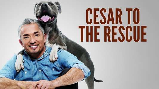Cesar 911 - Backdrop