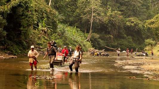 Wild Burma: Nature's Lost Kingdom - Backdrop