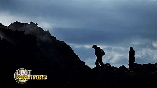 Lost Survivors - Backdrop