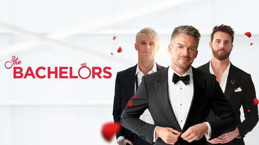 The Bachelor Australia - Backdrop