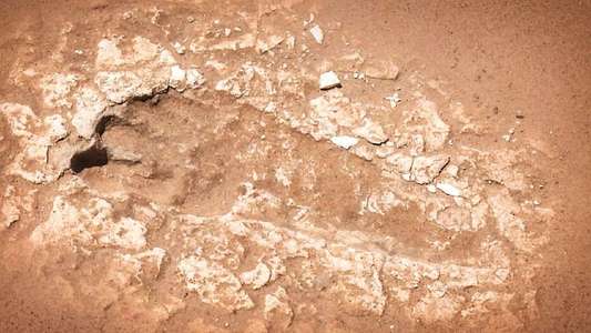 First Footprints - Backdrop