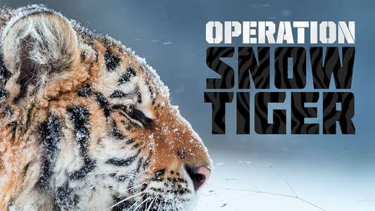 Operation Snow Tiger - Backdrop